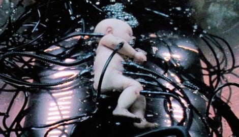 baby stuck in the matrix